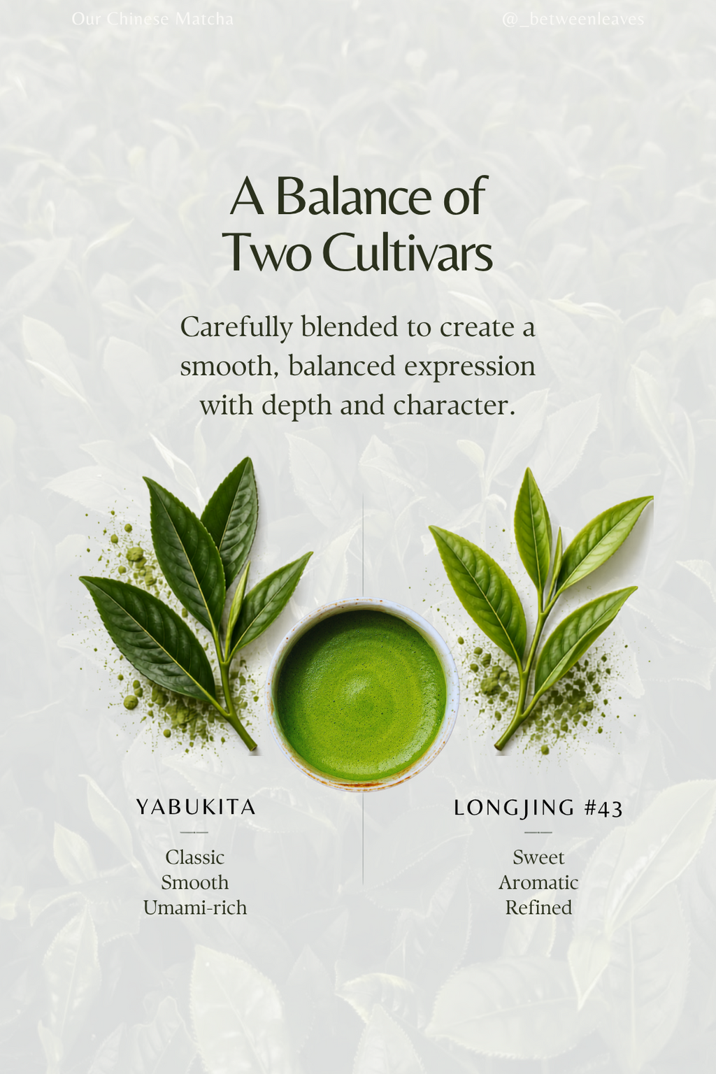 Chinese Ceremonial Grade Matcha