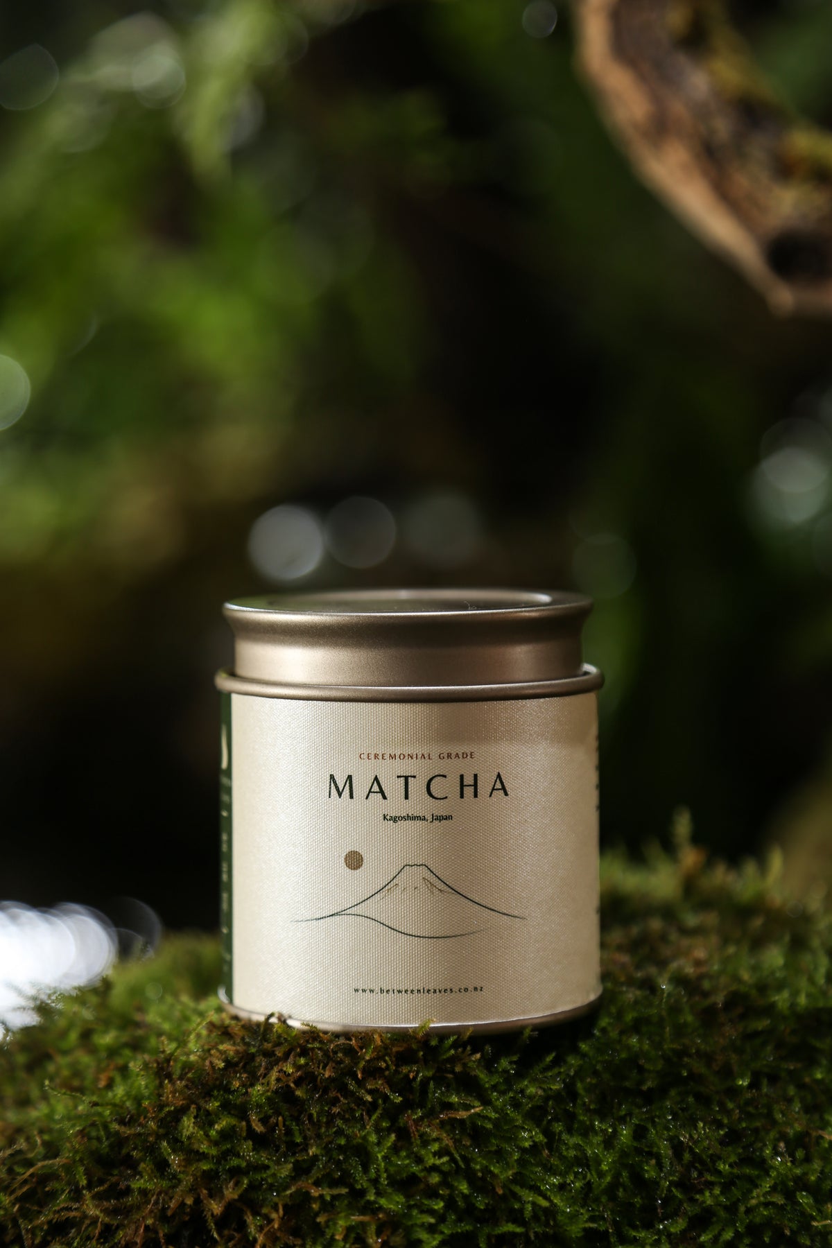 A silver metal tin of matcha tea with a cream label, resting on green moss in a natural forest setting.