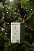Anji White Tea