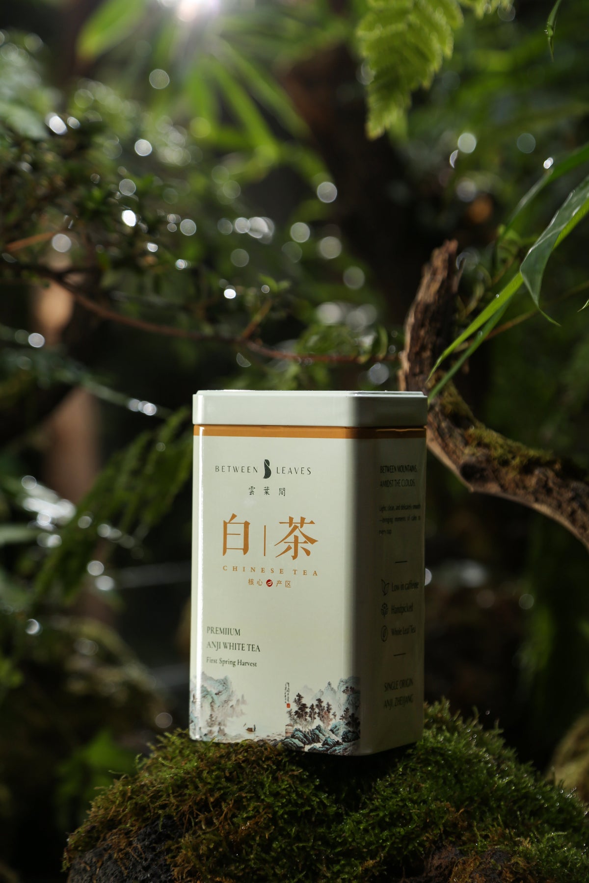 Anji White Tea