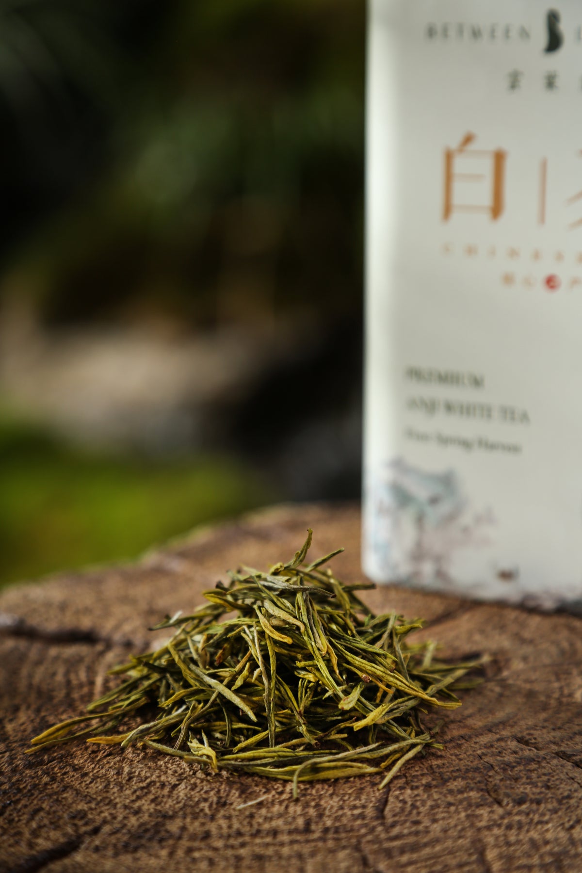 Anji White Tea